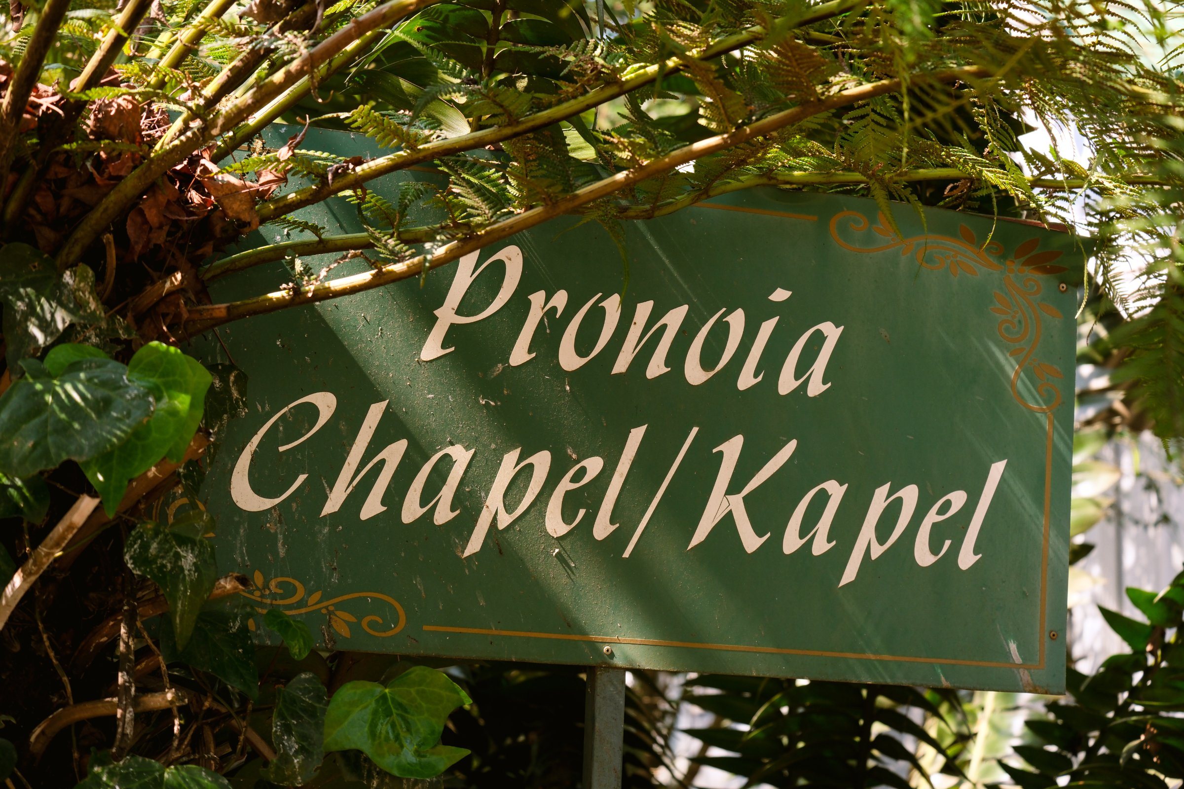 Wedding memory shared by Pauw Perspective